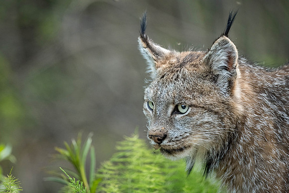 DSC_3154-Edit