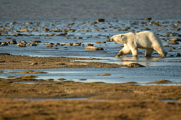 DSC_8846