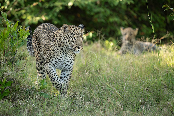 DSC_2434