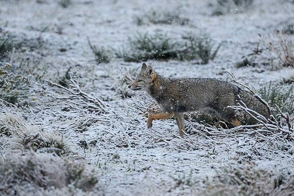 DSC_1393