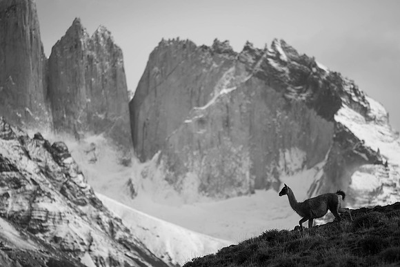 DSC_0786