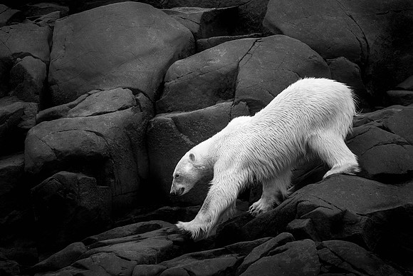 DSC_2454-Edit-2