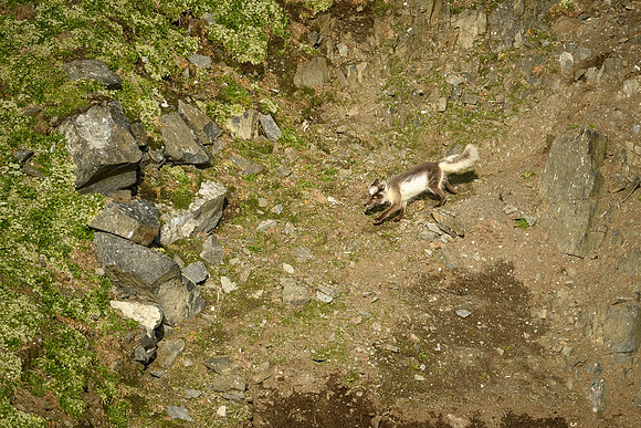 DSC_1706